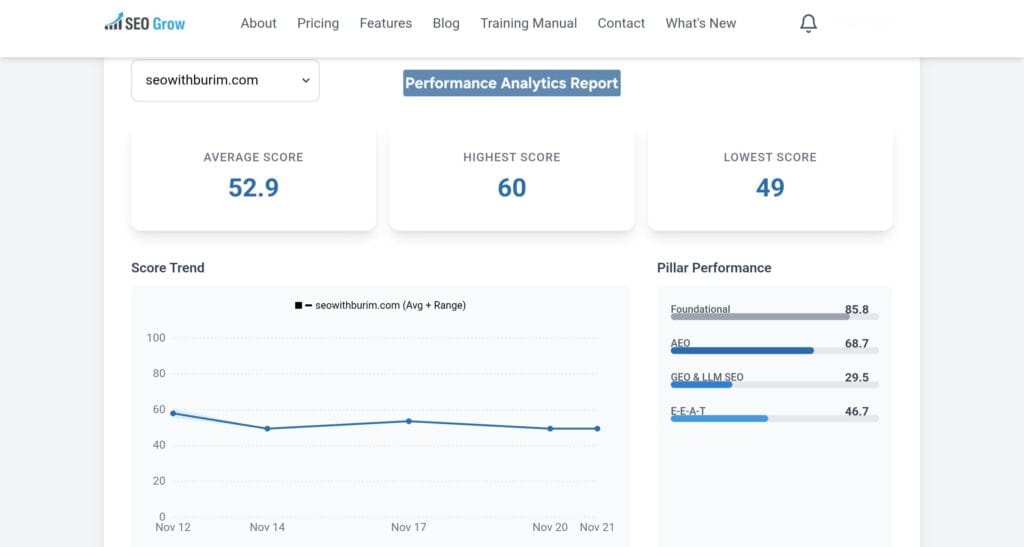 AI SEO Auditor Dashboard - Performance Analytics Report